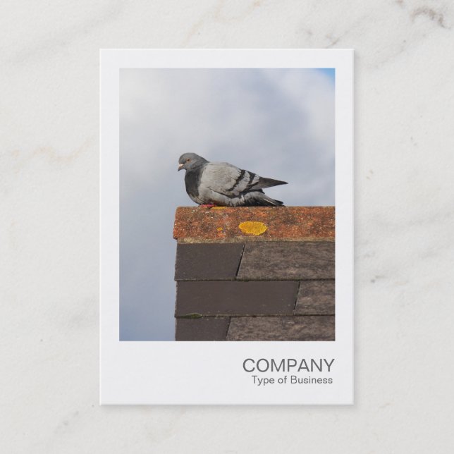 Instant Foto 082 - Good Morning Taube Visitenkarte (Vorderseite)