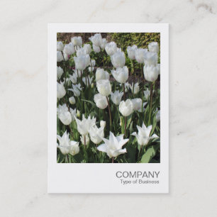 Instant Foto 090 - Weiße Tulpen Visitenkarte