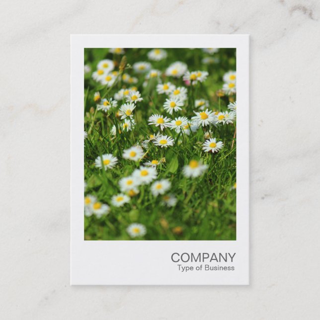 Instant Foto 091 - Daisy Meadow Visitenkarte (Vorderseite)