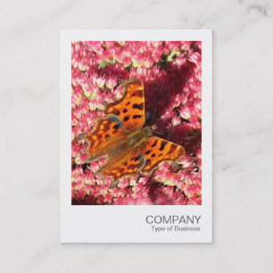 Instant Foto - Comma Butterfly on Sedum Visitenkarte