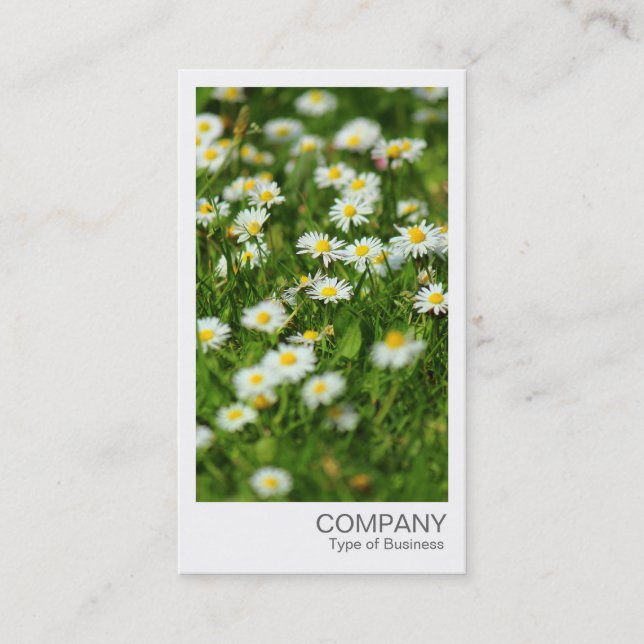 Instant Foto - Daisy Meadow Visitenkarte (Vorderseite)