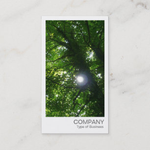 Instant Foto - Sonne durch die Bäume Visitenkarte