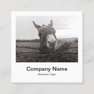Instant Foto Style - Unternehmen - Donkey Quadratische Visitenkarte
