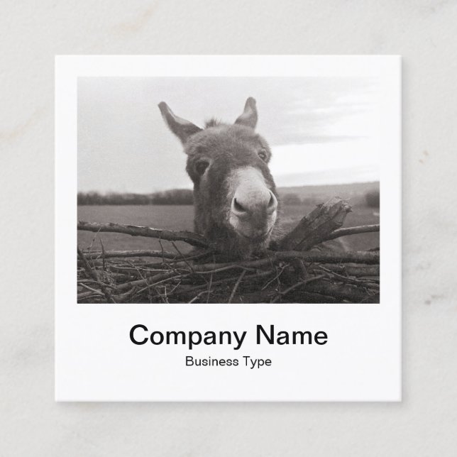 Instant Foto Style - Unternehmen - Donkey Quadratische Visitenkarte (Vorderseite)