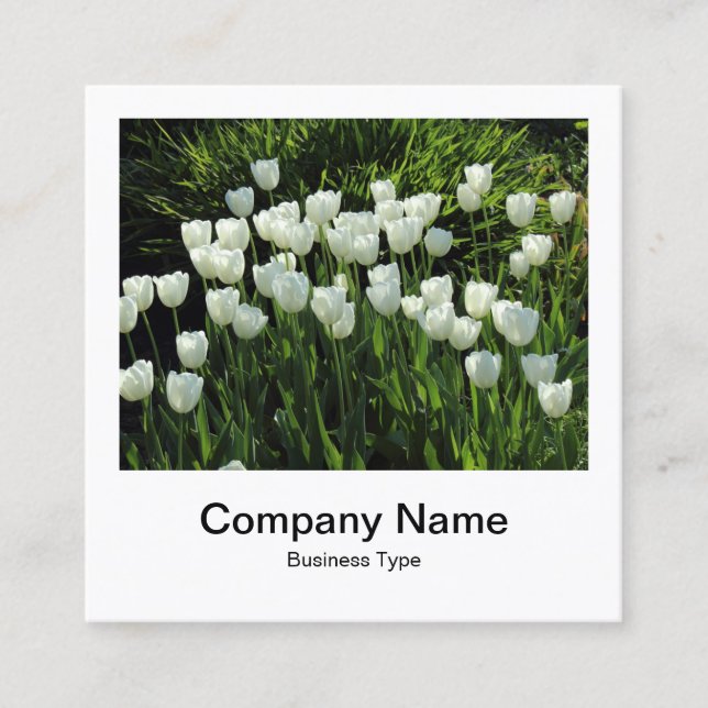 Instant Foto Style - Unternehmen - White Tulips Quadratische Visitenkarte (Vorderseite)