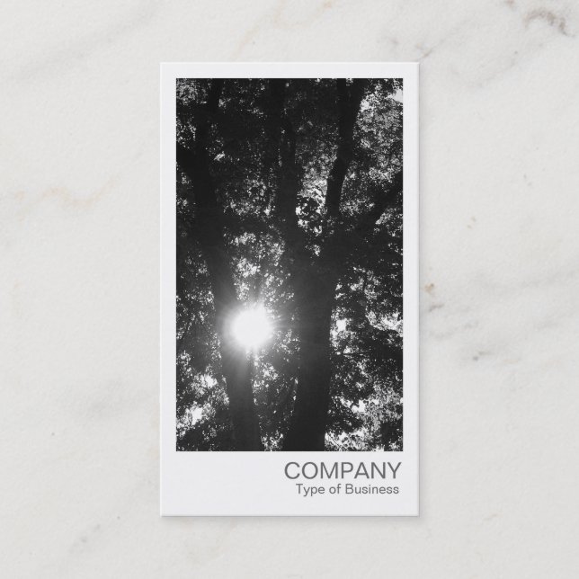 Instant Foto - Sun durch die Bäume BW Visitenkarte (Vorderseite)