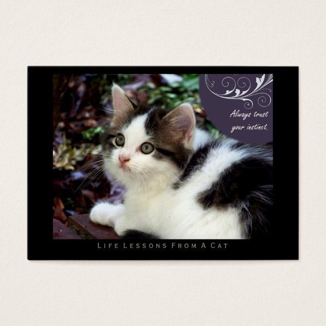 Instincts leçons de vie d'un Cat ACEO Cartes d'art (Devant)