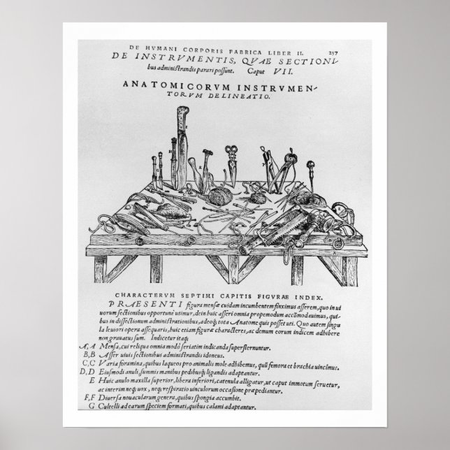 Instrumente für Abbildungen, Abbildungen aus "De" Poster (Vorne)