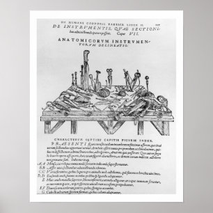 Instrumente für Zerlegungen, Illustration von 'De Poster
