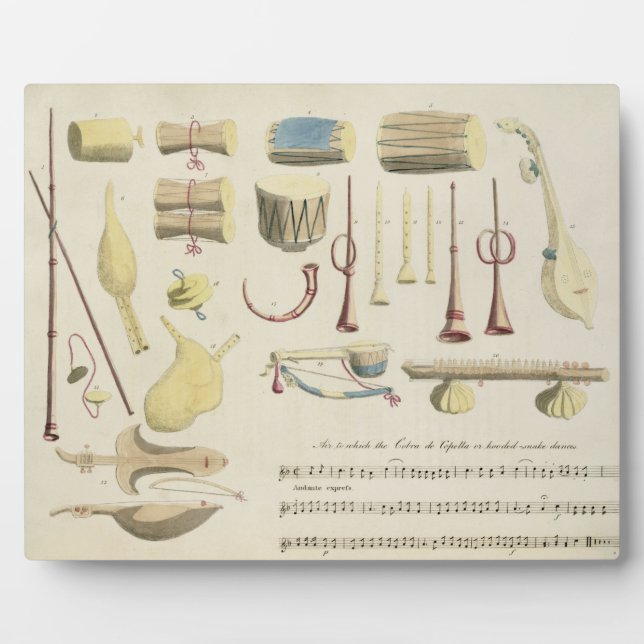 Instruments de musique indiens, plaque 23 de 'Orie (Devant)