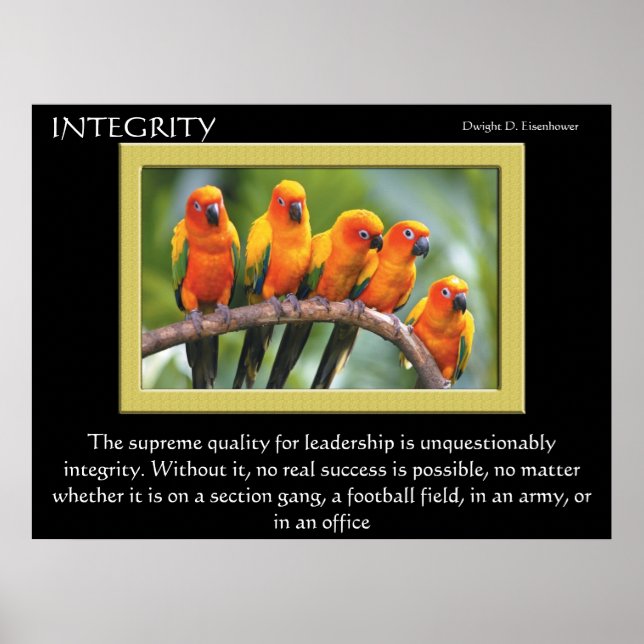 INTEGRITY Posters Poster (Vorne)