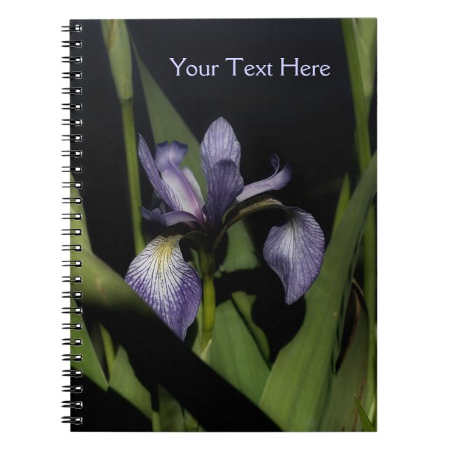 Intense Blue Flag Iris Blume Nature Notebook Notizblock (Vorderseite)