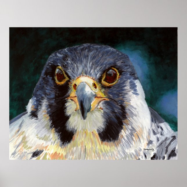 Intensität - Der Blick des Falken Poster (Vorne)