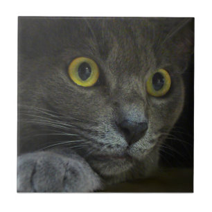 Intensitäts-dekorative Fliese