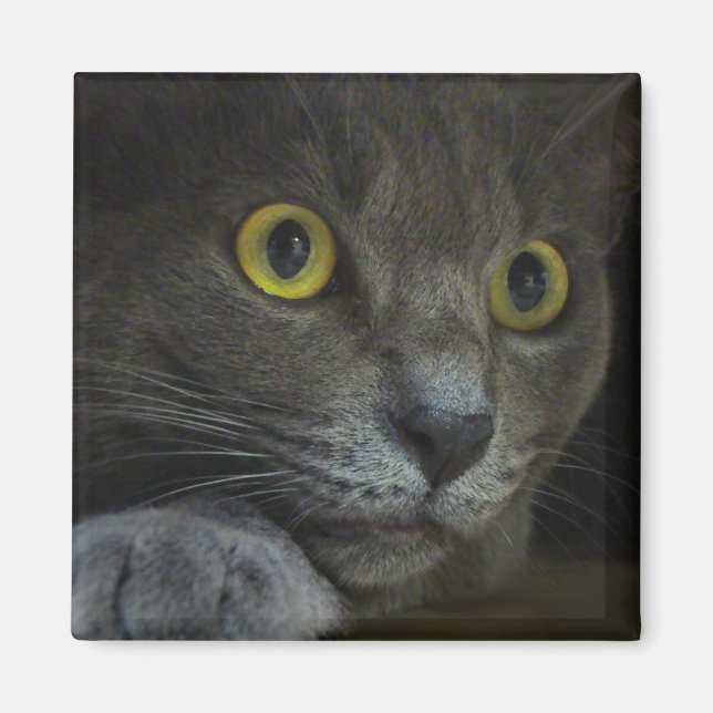 Intensitätsmagnet Magnet (Vorne)