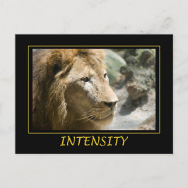 Intensity Postkarte