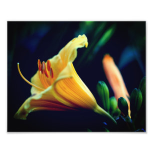 Intensiv-Gelblilie-Blume 8x10 Fotodruck