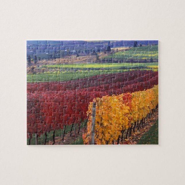 Intensiv rote und gelbe Herbstfarben auf Gehring (Horizontal)