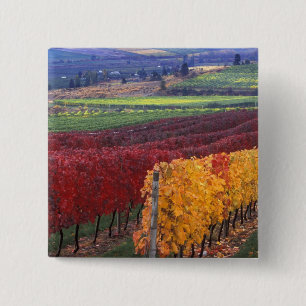 Intensiv rote und gelbe Herbstfarben auf Gehring Button