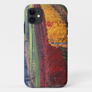 Intensiv rote und gelbe Herbstfarben auf Gehring Case-Mate iPhone Hülle