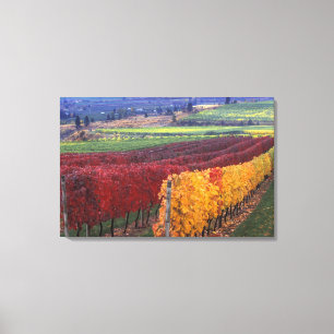 Intensiv rote und gelbe Herbstfarben auf Gehring Leinwanddruck