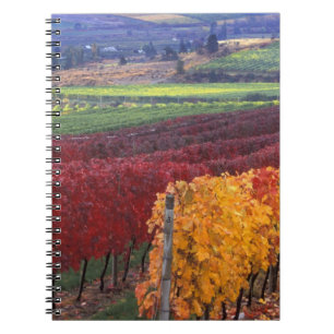Intensiv rote und gelbe Herbstfarben auf Gehring Notizblock