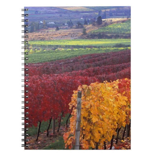 Intensiv rote und gelbe Herbstfarben auf Gehring Notizblock (Vorderseite)