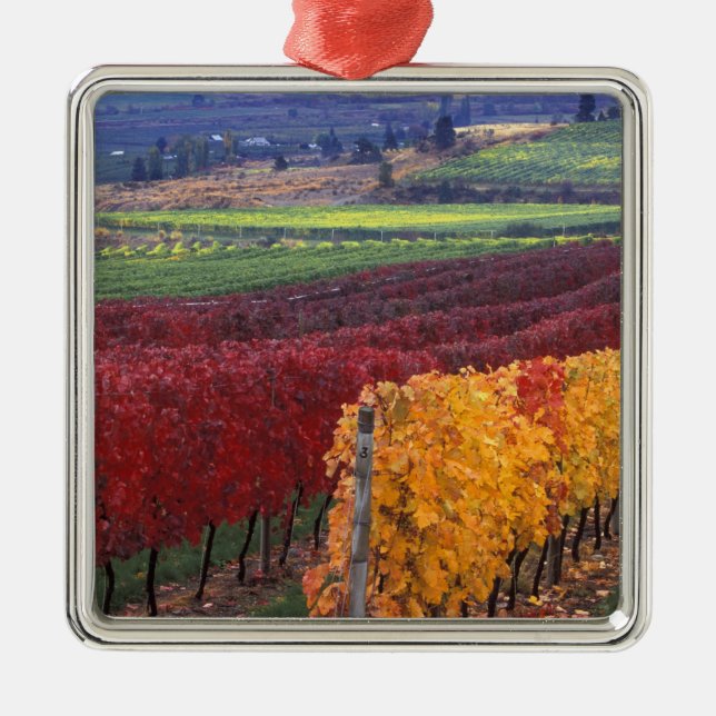 Intensiv rote und gelbe Herbstfarben auf Gehring Ornament Aus Metall (Vorne)