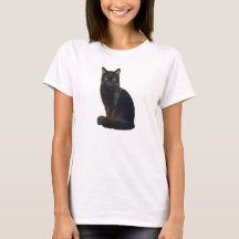 Intensiv steigende schwarze Katze | Ich beobachte 
