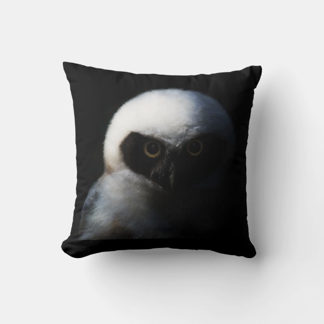 Intensive Baby Owl Kissen (Vorderseite)