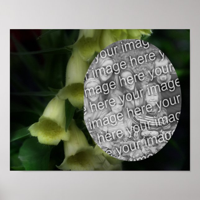 Intensive Foxglove Blume Rahmen hinzufügen Ihr Fot Poster (Vorne)