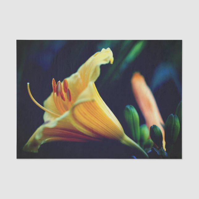 Intensive Gelblilie-Blume Seidenpapier (Vorderseite)