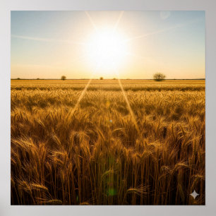 Intensive Noontime Sun Poster