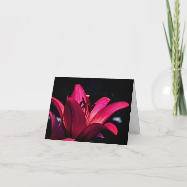 Intensive rote Lilienblumenfotografie  (Vorderseite)