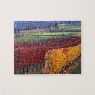 Intensive rote und gelbe Herbstfarben auf Gehring