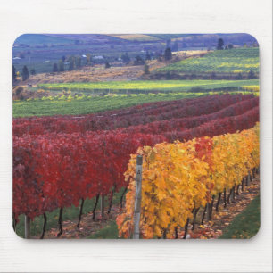 Intensive rote und gelbe Herbstfarben auf Gehring Mousepad