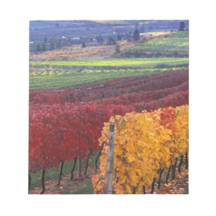 Intensive rote und gelbe Herbstfarben auf Gehring Notizblock