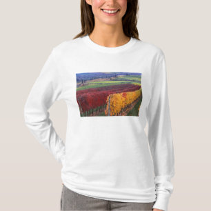 Intensive rote und gelbe Herbstfarben auf Gehring T-Shirt