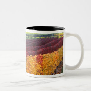 Intensive rote und gelbe Herbstfarben auf Gehring Zweifarbige Tasse