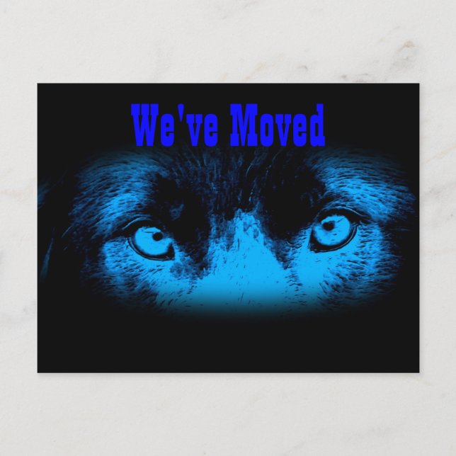 Intensiver Adresswechsel Ankündigungspostkarte (Vorderseite)