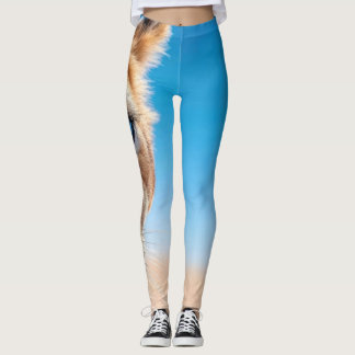 Intensiver Blauäugiger Löwe Wüstenhorizont Art Wra Leggings