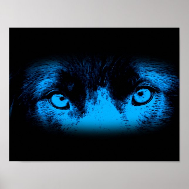 Intensives Hundeschauen in blau Poster (Vorne)