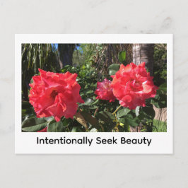 Intentionally Seek Beauty Postkarte