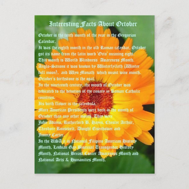Interessante Fakten über Oktober Postkarte (Vorderseite)