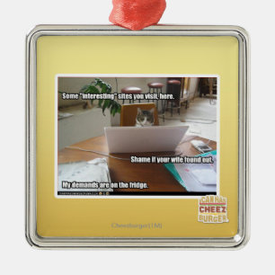 Interessante Standorte Silbernes Ornament