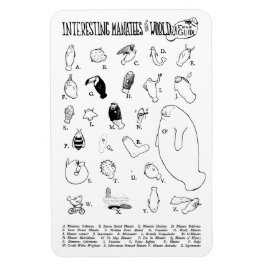 Interessanter Manateen-Magnet Magnet