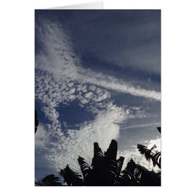 Interessanter Sky (Vorne)