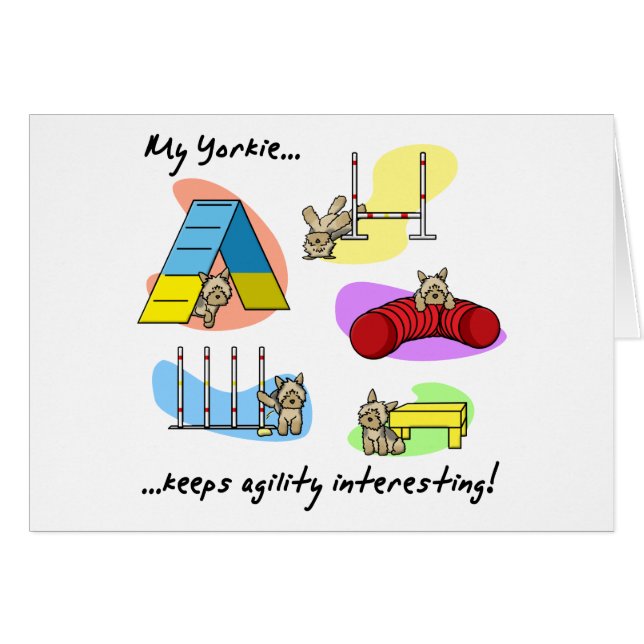 Interessantes Yorkie Agility (Vorderseite (Horizontal))
