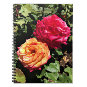 International Rose Test Garden, Portland, Oregon Notizblock