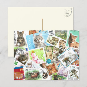 Internationale Cat Postage-Briefmarke Postkarte